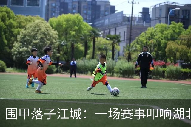 围甲落子江城：一场赛事叩响湖北围棋复兴之门