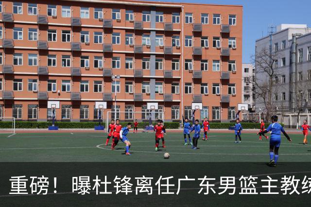 重磅！曝杜锋离任广东男篮主教练 媒体人猜测外教接任可能性较大
